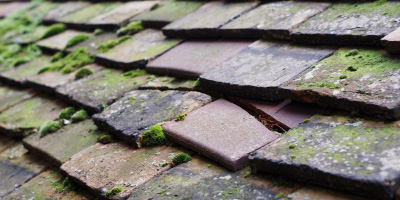 Trelech roof repair costs